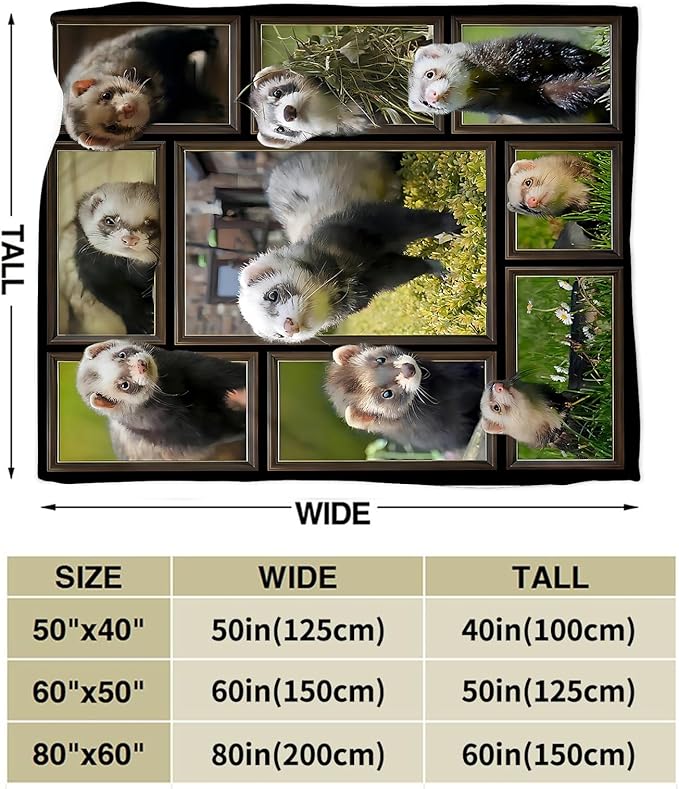 Cute Ferret Blanket for Women Girls Boys Men Funny Animal Ferrets Throw Blanket Plush Cozy Flannel Fleece Ultra Soft Fuzzy Blankets Gifts 50"X40"