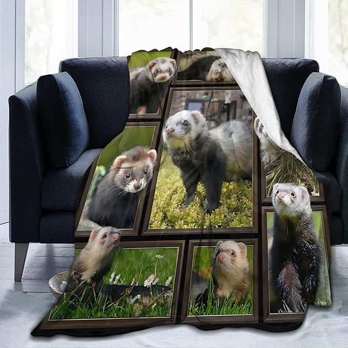 Cute Ferret Blanket for Women Girls Boys Men Funny Animal Ferrets Throw Blanket Plush Cozy Flannel Fleece Ultra Soft Fuzzy Blankets Gifts 80"X60"