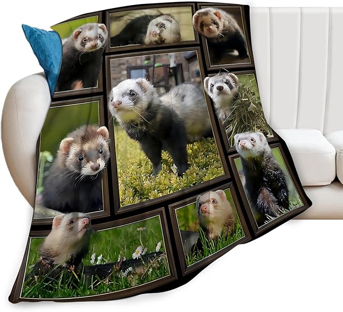Cute Ferret Blanket for Women Girls Boys Men Funny Animal Ferrets Throw Blanket Plush Cozy Flannel Fleece Ultra Soft Fuzzy Blankets Gifts 60"X50"