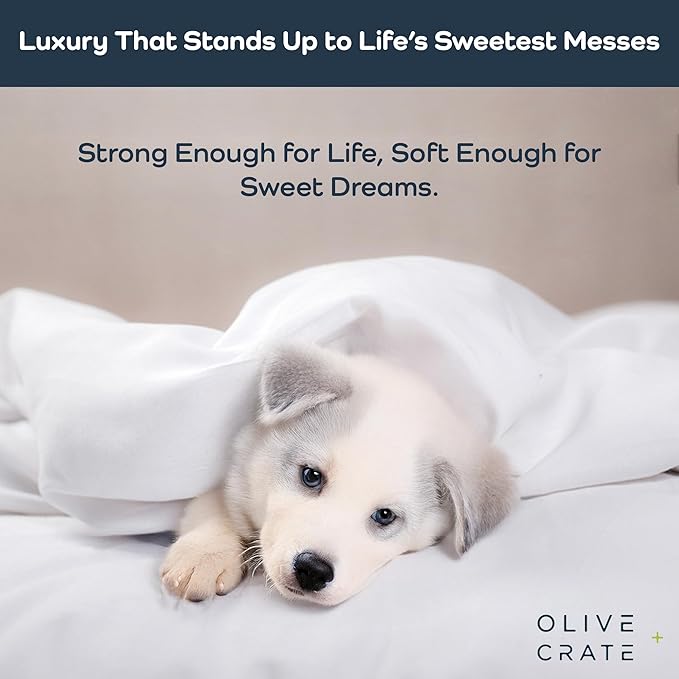 Olive + Crate Tencel Eucalyptus Cooling Duvet Cover Set - Hypoallergenic, Lyocell Tencel Duvet Cover - Soft, Temperature Regulating with Hidden Button Closure & Corner Ties - Twin XL [White Snow]