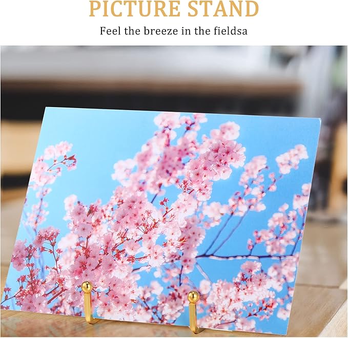 Kenning 12 Pieces Gold Plate Holder Easel Display Stand Metal Book Display Stand Tabletop Picture Frame Holder Photo Square Iron Easel Decorative for Kitchen Office Room Tabletop(3 Inch)