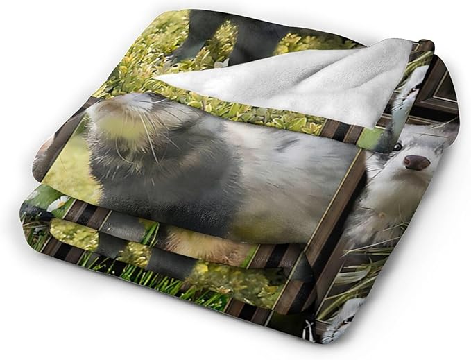 Cute Ferret Blanket for Women Girls Boys Men Funny Animal Ferrets Throw Blanket Plush Cozy Flannel Fleece Ultra Soft Fuzzy Blankets Gifts 80"X60"