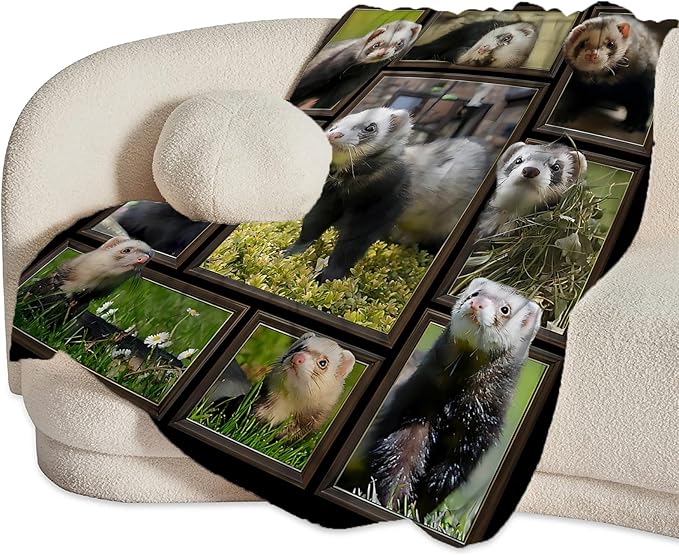 Cute Ferret Blanket for Women Girls Boys Men Funny Animal Ferrets Throw Blanket Plush Cozy Flannel Fleece Ultra Soft Fuzzy Blankets Gifts 50"X40"