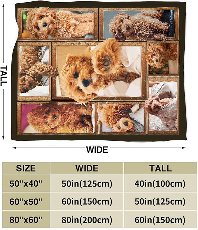 Poodle Blanket for Dog Lover Gifts Cute Poodle Throw Blanket for Girls Boys Women Man Plush Cozy Flannel Fleece Ultra Soft Fuzzy Blankets 80"X60"