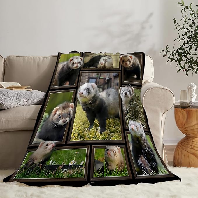 Cute Ferret Blanket for Women Girls Boys Men Funny Animal Ferrets Throw Blanket Plush Cozy Flannel Fleece Ultra Soft Fuzzy Blankets Gifts 60"X50"
